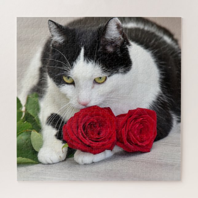 Puzzle Gato lindo con el rosa rojo (Horizontal)