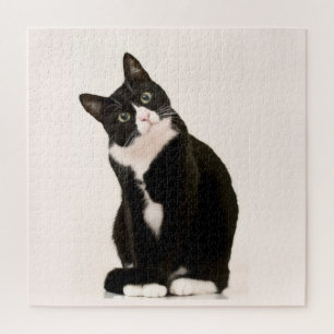 Puzzle gato lindo de esmoquin