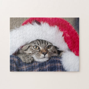 Puzzle Gato lindo en sombrero de santa