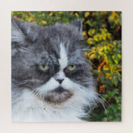 Puzzle gato, lindo, mascota, gris, peludo, doméstico, fel