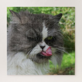 Puzzle gato, lindo, mascota, gris, peludo, doméstico, fel