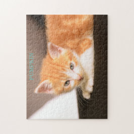Puzzle Gato naranja en otomano negro/Naranja Kitten