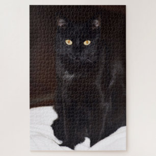 Puzzle Gato negro