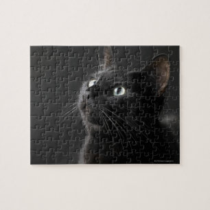 Puzzle Gato negro contra el fondo negro, primer