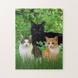 Puzzle Gato negro Gato atigrado Gatos divertidos en el ja