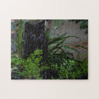 Puzzle Gato negro jugando en el jardín, 252 piezas