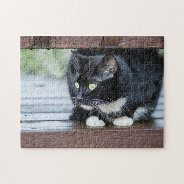 Puzzle Gato negro y blanco de tuxedo (Horizontal)