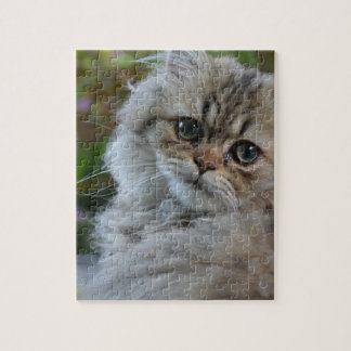 Puzzle Gato peludo