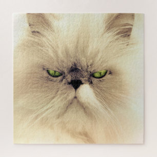 Puzzle Gato persa blanco con ojos verdes