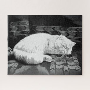 Puzzle Gato persa blanco durmiendo
