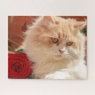 Puzzle Gato persa con una rosa roja