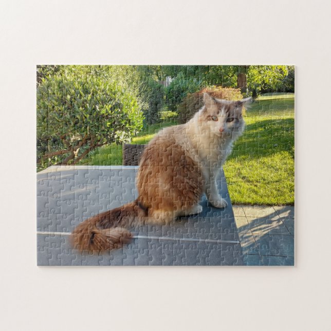 Puzzle gato ragdoll (Horizontal)
