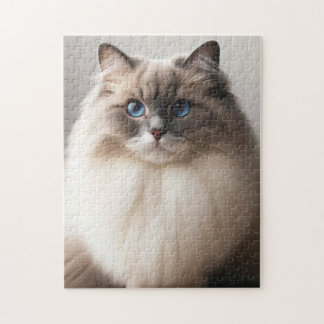Puzzle Gato Ragdoll de Ojos Azules | Lujo Esponjoso