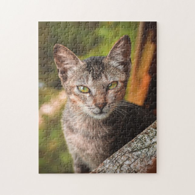 Puzzle Gato rompe la imagen de gatos gatos gatitos gatos  (Vertical)