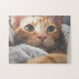 Puzzle Gato rompe la imagen de gatos gatos gatitos gatos 
