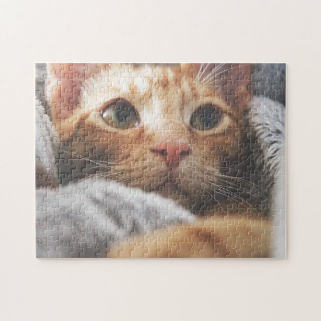 Puzzle Gato rompe la imagen de gatos gatos gatitos gatos  (Horizontal)