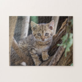Puzzle Gato rompe la imagen de gatos gatos gatitos gatos 