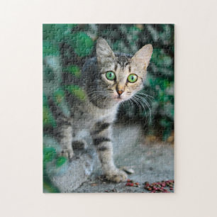 Puzzle Gato rompe la imagen de gatos gatos gatitos gatos