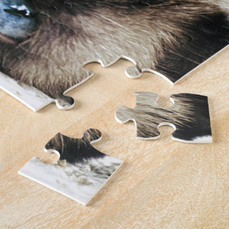 Puzzle Gato siamés