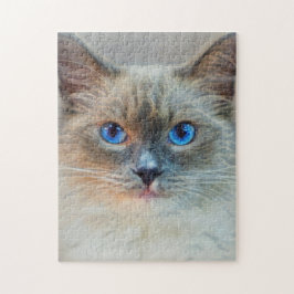 Puzzle Gato Siamés Con Ojos Azules