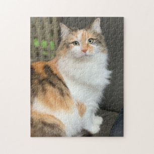 Puzzle Gato sinuoso de Calico Kitty