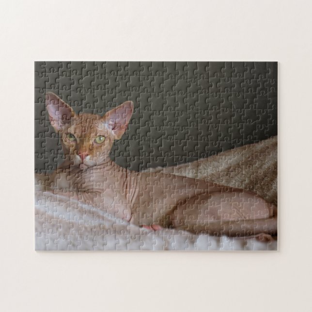 Puzzle Gato Sphinx sin pelo (Horizontal)