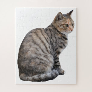 Puzzle Gato Tabby adulto
