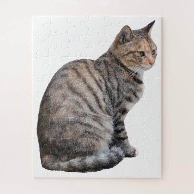 Puzzle Gato Tabby adulto (Vertical)