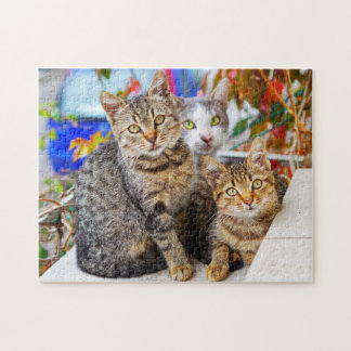 Puzzle gatos