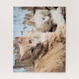Puzzle Gatos