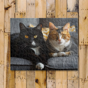 Puzzle Gatos en un sofá