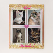 Gatos familiares regalo popular