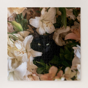 Puzzle Gatos Flor de Medianoche