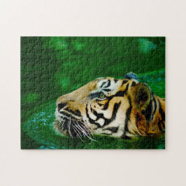 Puzzle Gatos grandes del tigre malayo