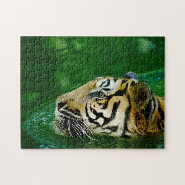 Puzzle Gatos grandes del tigre malayo (Horizontal)