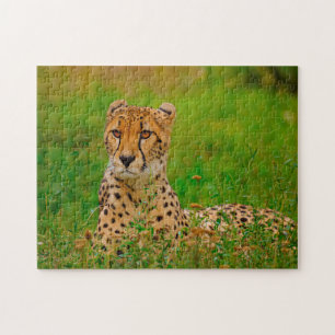 Puzzle Gatos Grandes Guepardo.