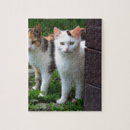 Puzzle Gatos jugando afuera