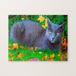 Puzzle Gatos Korat.