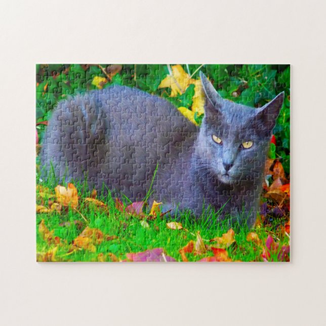 Puzzle Gatos Korat. (Horizontal)