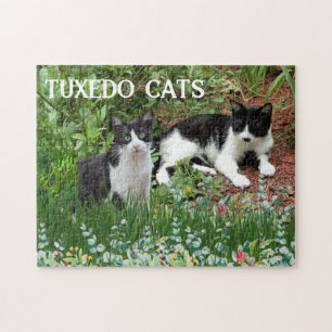 Puzzle Gatos negros y blancos en jardín de flores