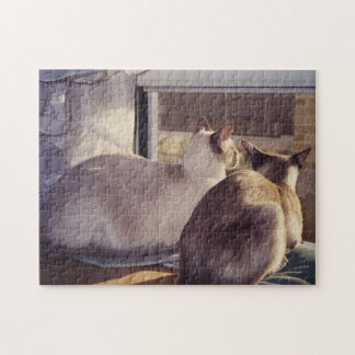 Puzzle Gatos siameses dos en la ventana (2)