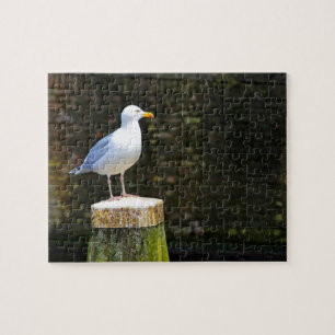Puzzle Gaviota