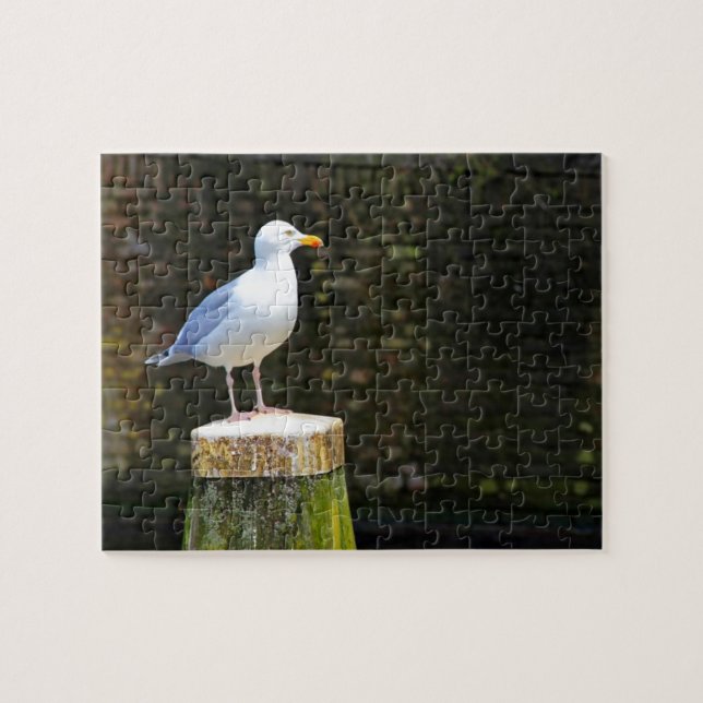 Puzzle Gaviota (Horizontal)