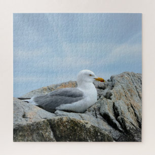 Puzzle Gaviota A Orillas Del Mar