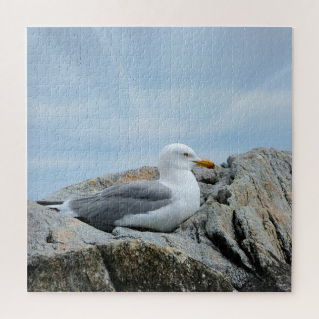 Puzzle Gaviota A Orillas Del Mar (Vertical)