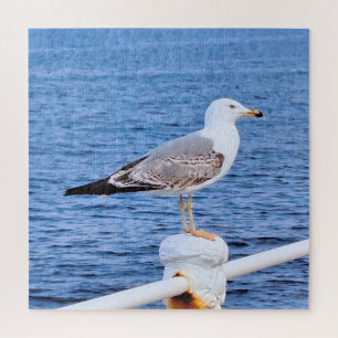 Puzzle Gaviota Constanta Rumania – Fotografía del Mar Neg