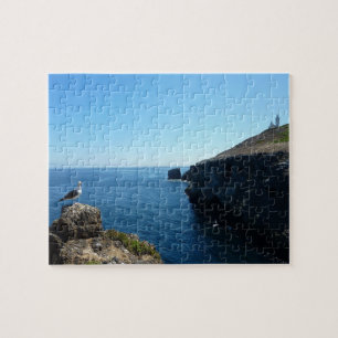 Puzzle Gaviota en la isla Anacapa en Channel Islands