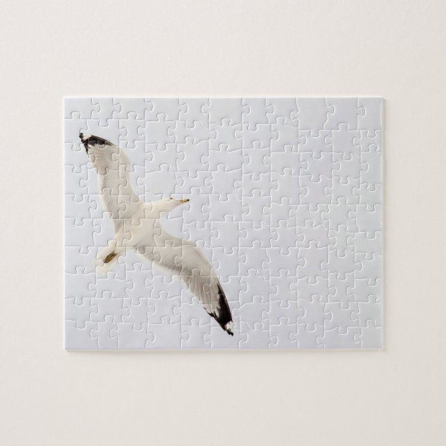 Puzzle Gaviota voladora (Horizontal)