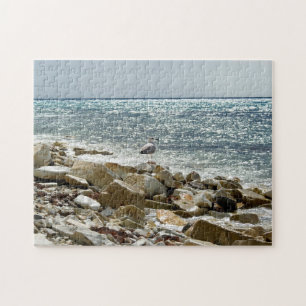 Puzzle Gaviota y mar