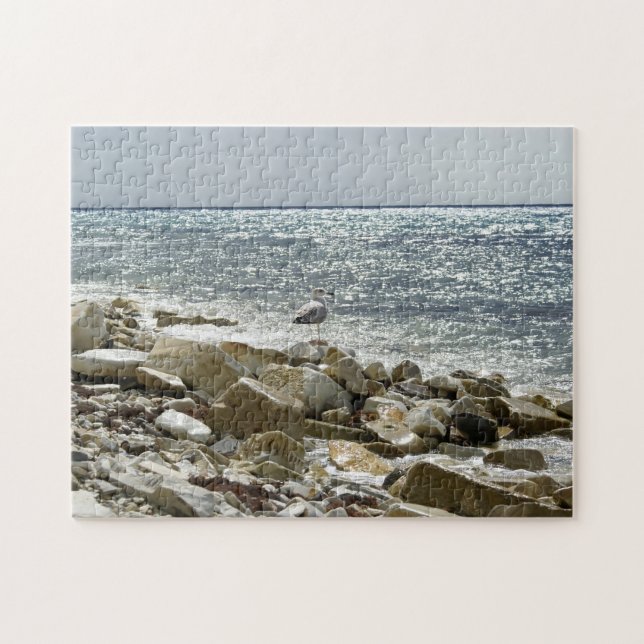 Puzzle Gaviota y mar (Horizontal)